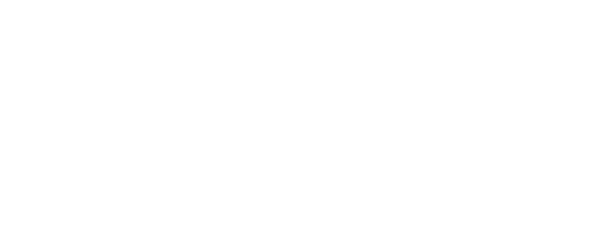 Asset 1WO SOE